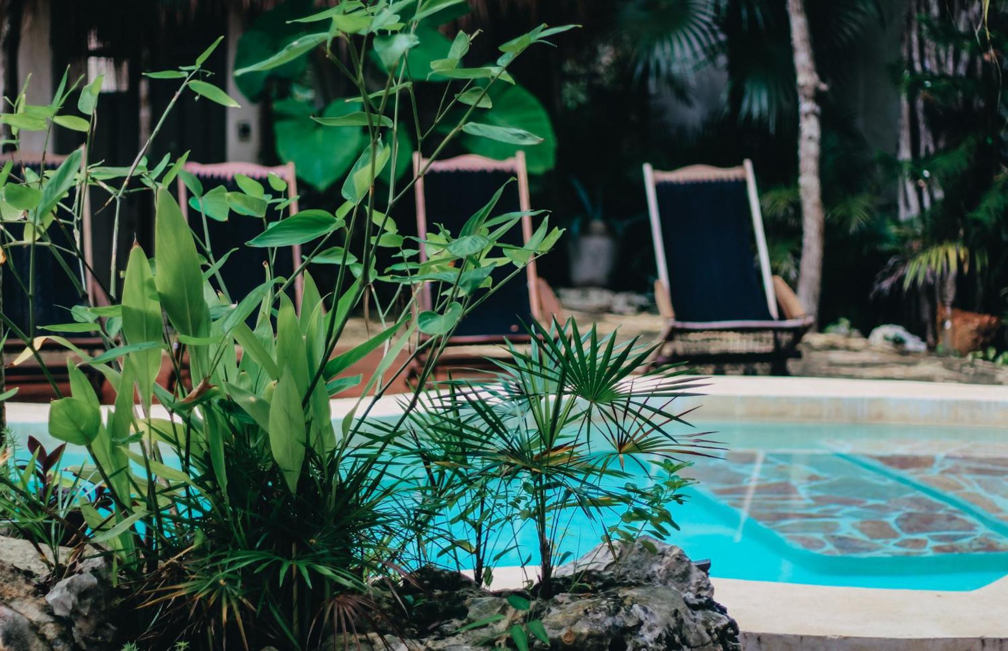 Verdeamar Eco Lodge Jungle Retreat Chemuyil Eksteriør bilde